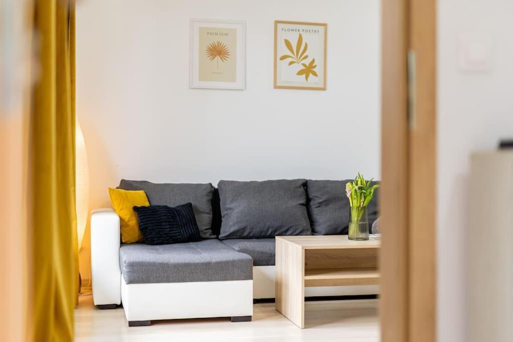 Cityscape Oasis: Active Studio Heaven براتسيلافا المظهر الخارجي الصورة